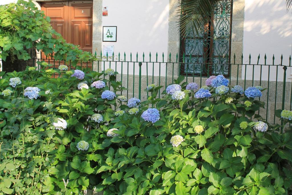 Casa Jardin De La Plata Apartment บาโญส เด มอนเตมายอร์ ภายนอก รูปภาพ